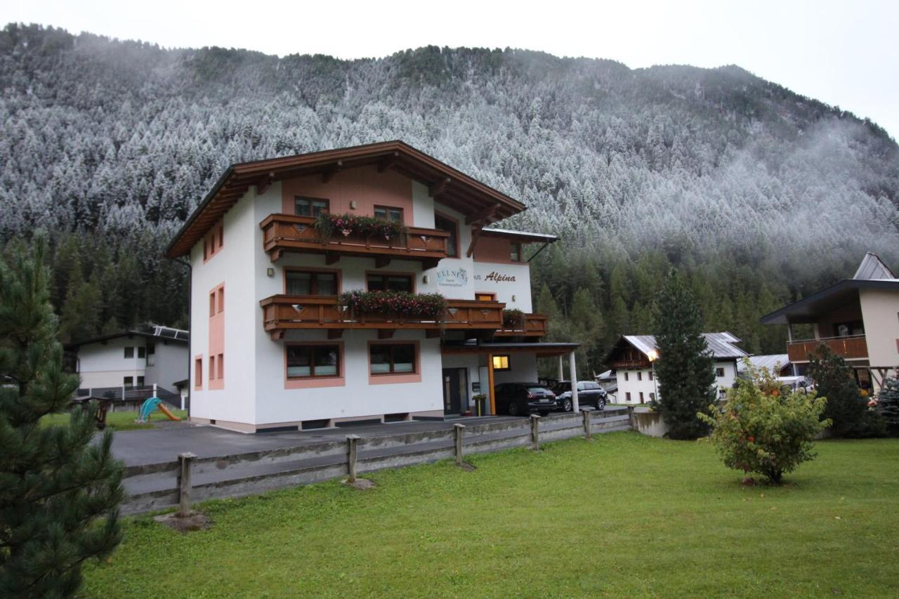 Haus Alpina & Landhaus Schoepf Λάνγκενφελντ Εξωτερικό φωτογραφία